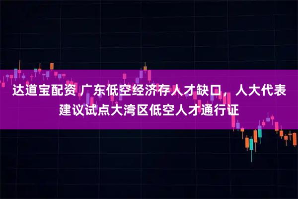 达道宝配资 广东低空经济存人才缺口，人大代表建议试点大湾区低空人才通行证
