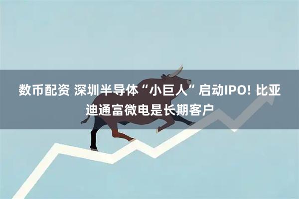 数币配资 深圳半导体“小巨人”启动IPO! 比亚迪通富微电是长期客户